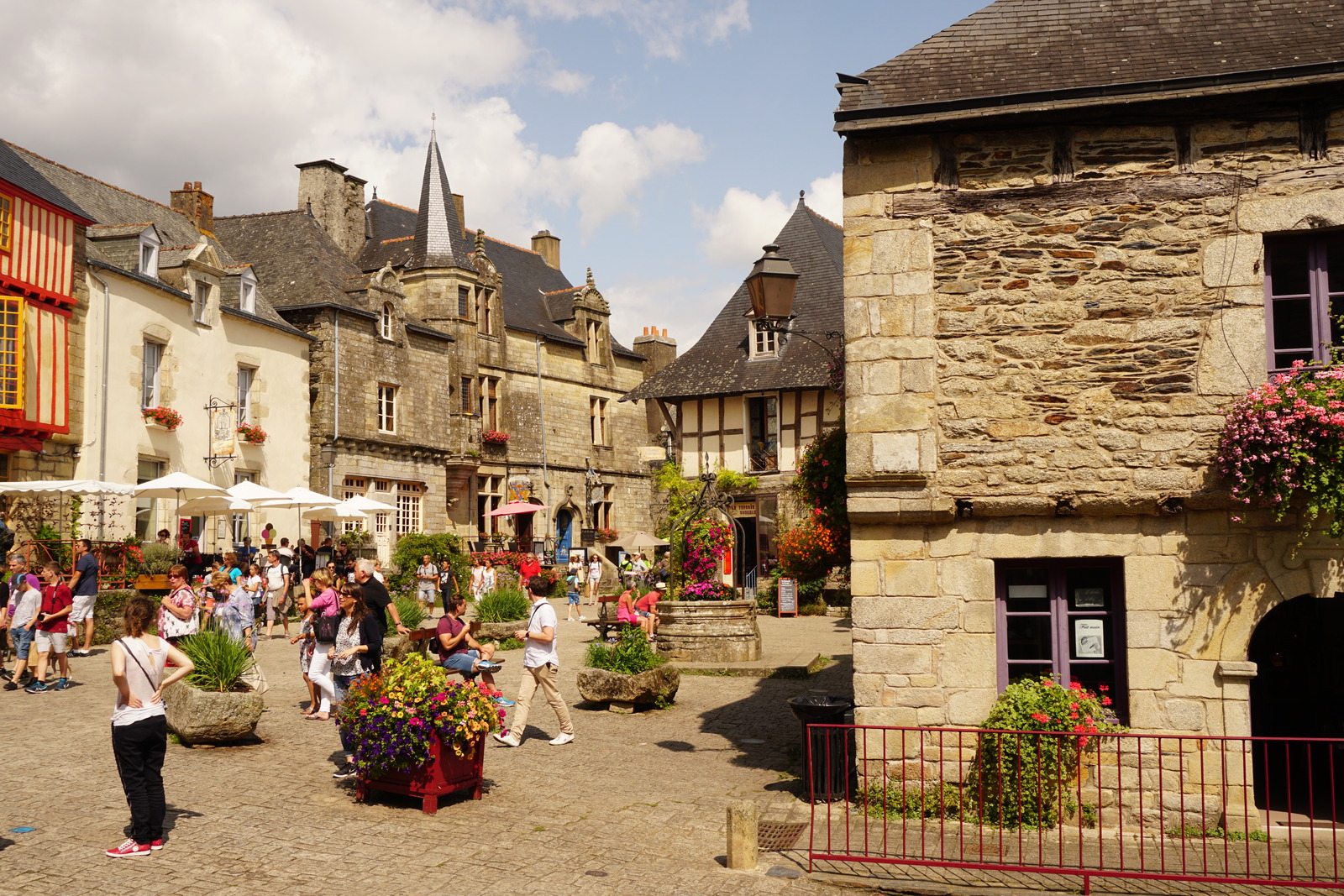 照片 法国(France) 罗什福尔昂泰尔(Rochefort en terre) 2017-08 59