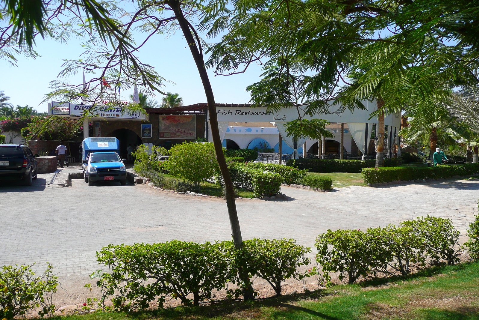 照片 埃及(Egypt) 沙姆沙伊赫(Sharm el Sheikh) 2008-06 43