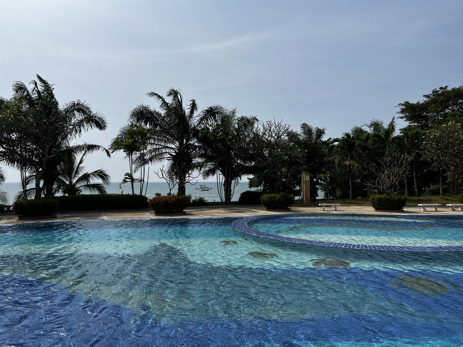 照片 泰国(Thailand) 芭提雅(Pattaya) 2022-12 67