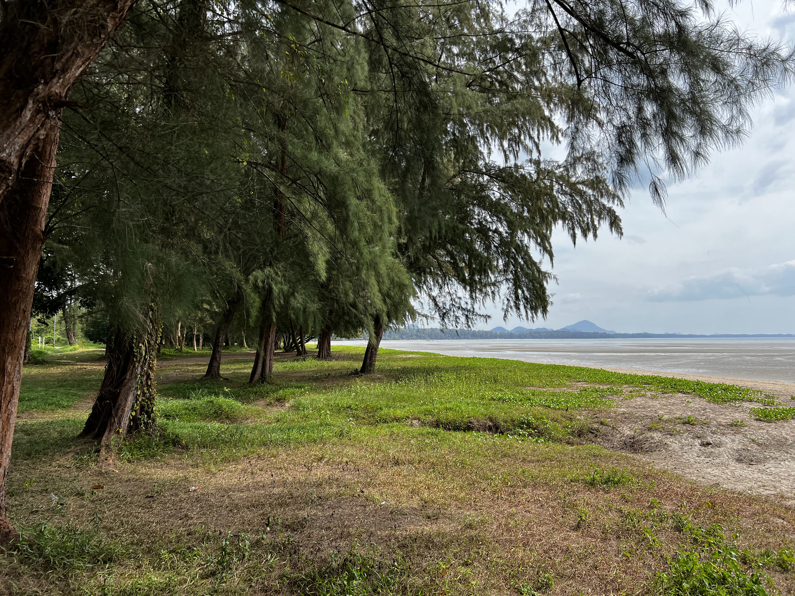 照片 泰国(Thailand) 长滩(Hat Yao) 2023-01 44