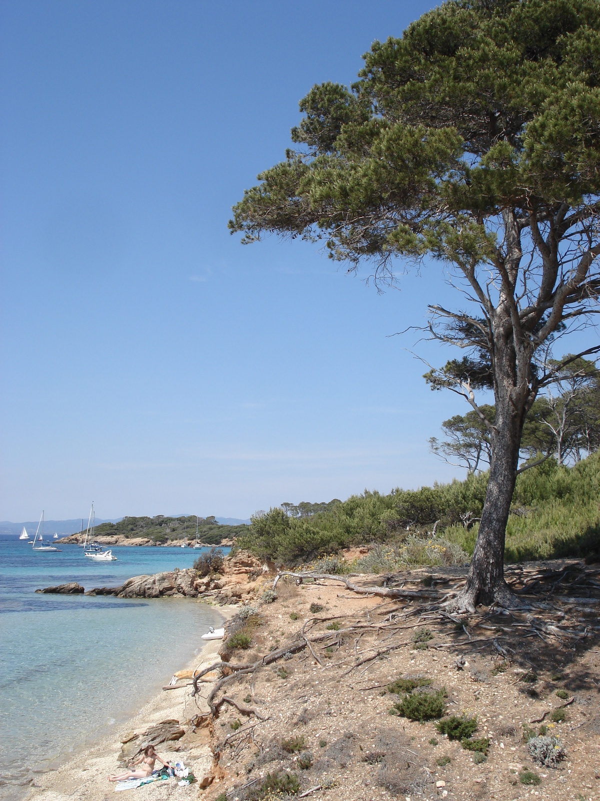 照片 法国(France) 波克罗勒岛(Porquerolles Island) 2006-06 37