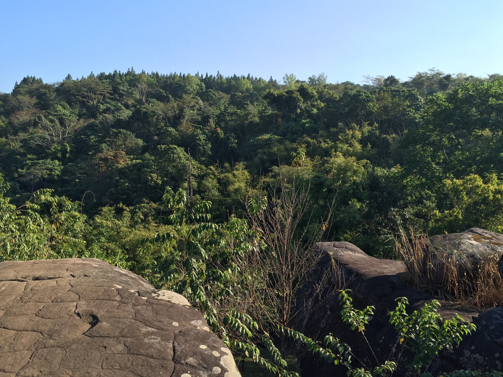 照片 泰国(Thailand) 普欣隆卡国家公园(Phu Hin Rong Kla National Park) 2014-12 193