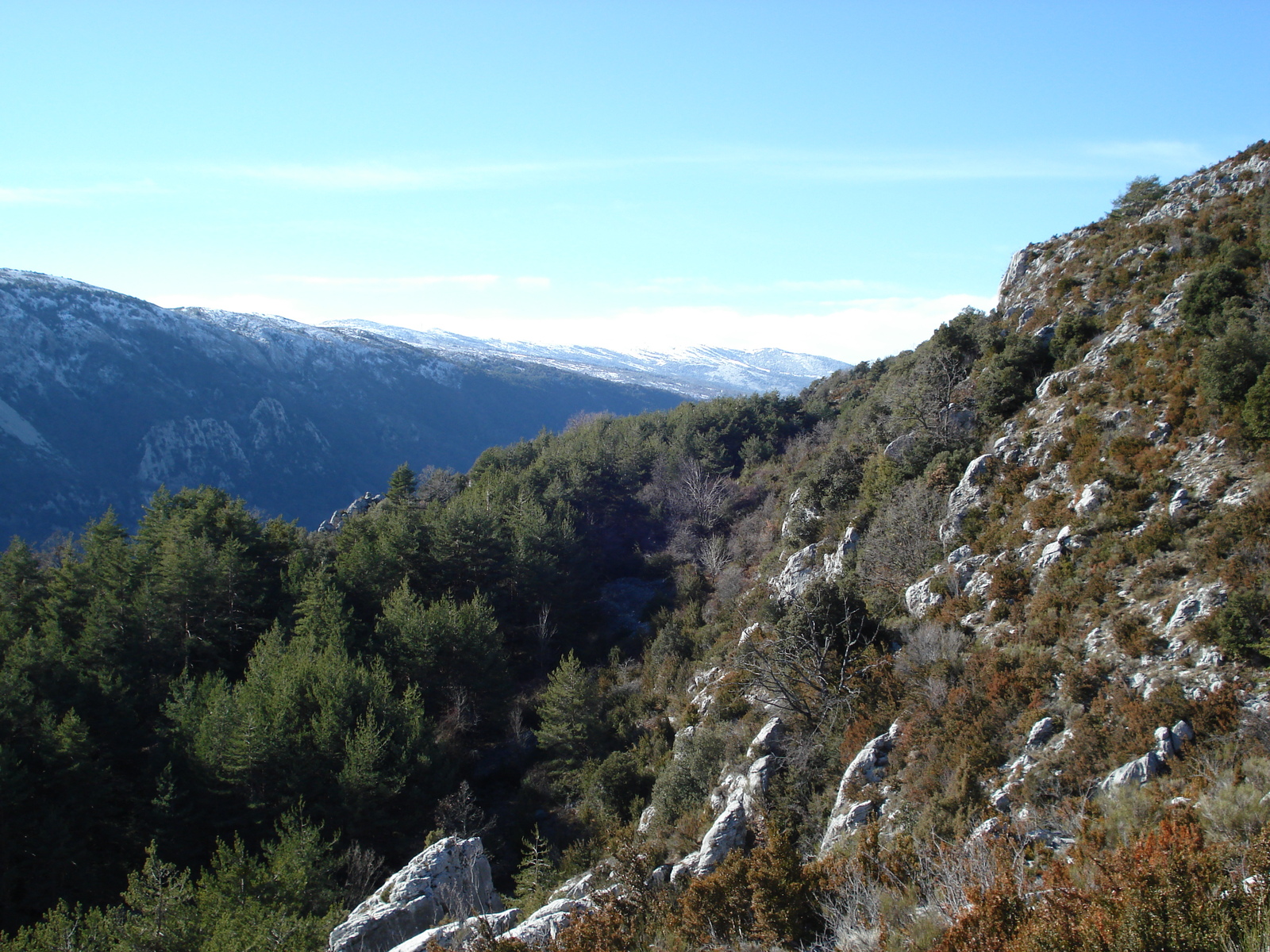 照片 法国(France) 库尔瑟古勒至格雷奥利耶雪场公路(Coursegoule to Greolieres les neiges road) 2007-01 37