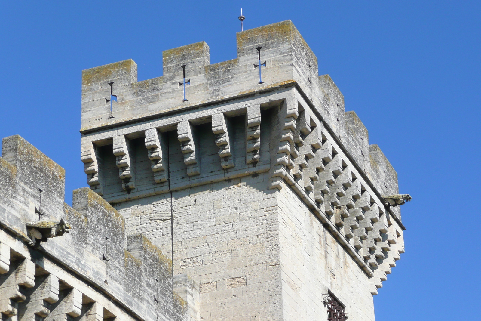 照片 法国(France) 塔拉斯孔(Tarascon) 塔拉斯孔城堡(Tarascon Castle) 2008-04 100