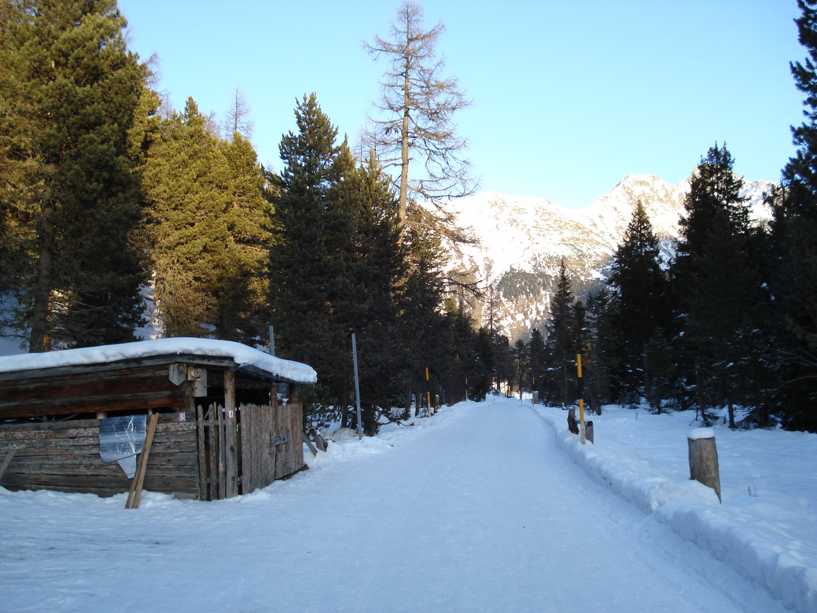 照片 瑞士(Switzerland) 圣莫里茨施拉里尼亚(St Moritz Schlarigna) 2007-01 23