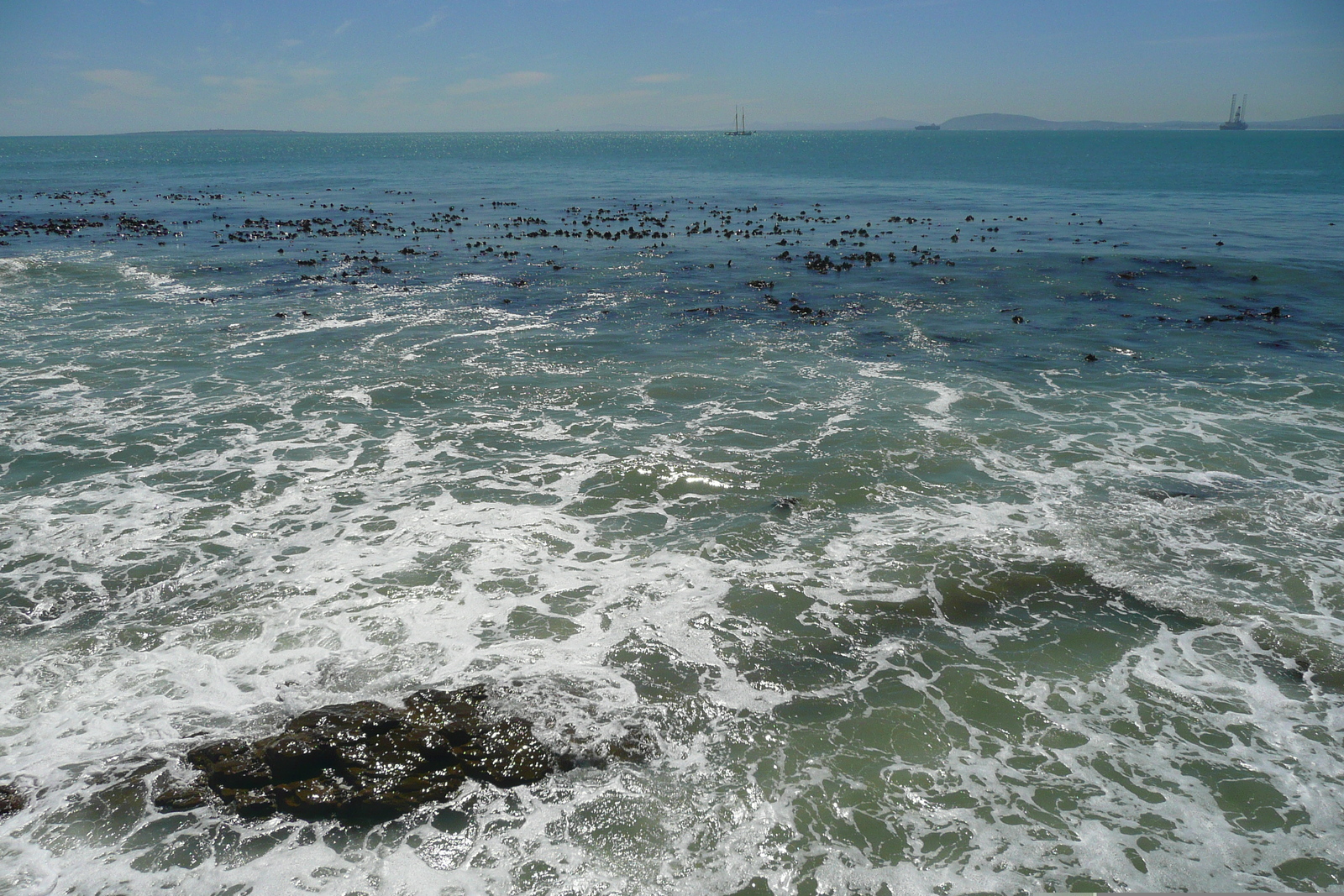 照片 南非(South Africa) 开普敦(Cape Town) 丽笙酒店(Radisson Hotel) 2008-09 14