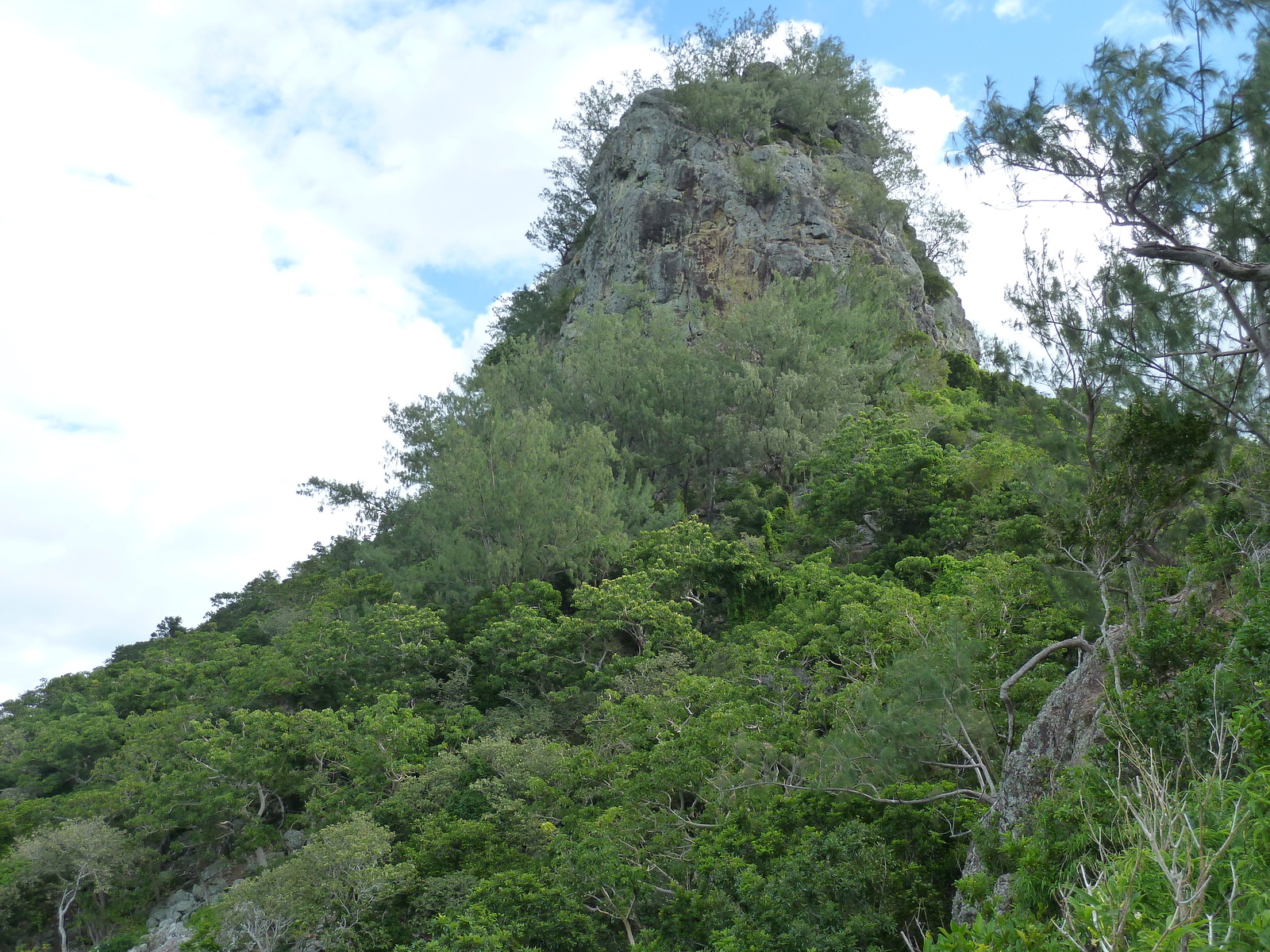 照片 斐济(Fiji) 漂流者岛(Castaway Island) 2010-05 36