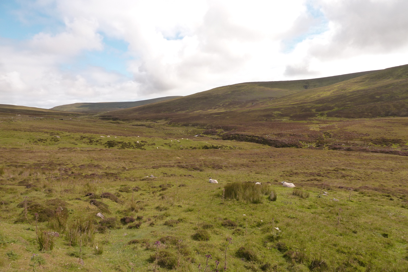 照片 英国(United Kingdom) 斯凯岛(Skye) 2011-07 175