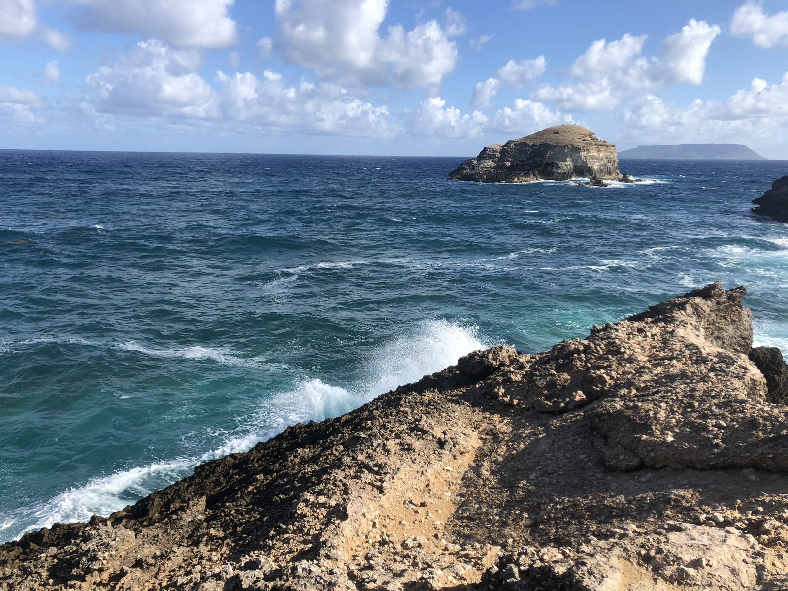 照片 瓜德罗普(Guadeloupe) 城堡角(Castle Point) 2021-02 347