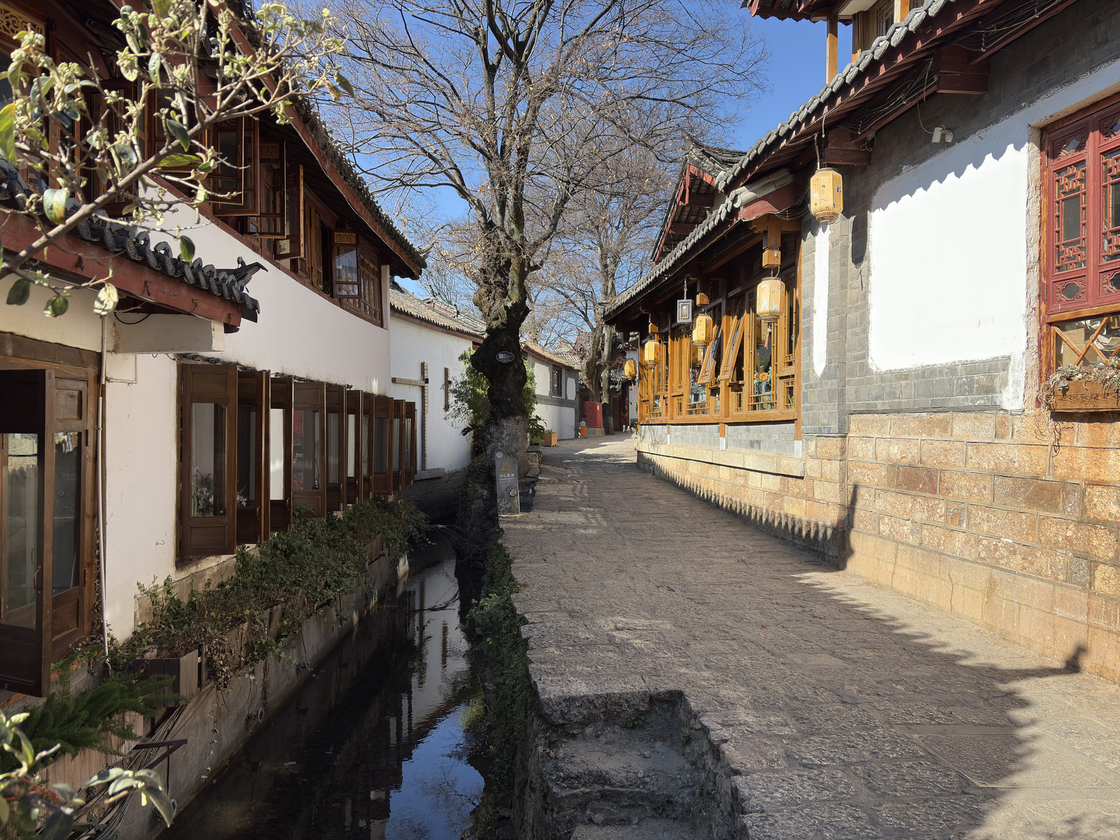 照片 中国(China) 丽江(Lijiang) 2026-01 579