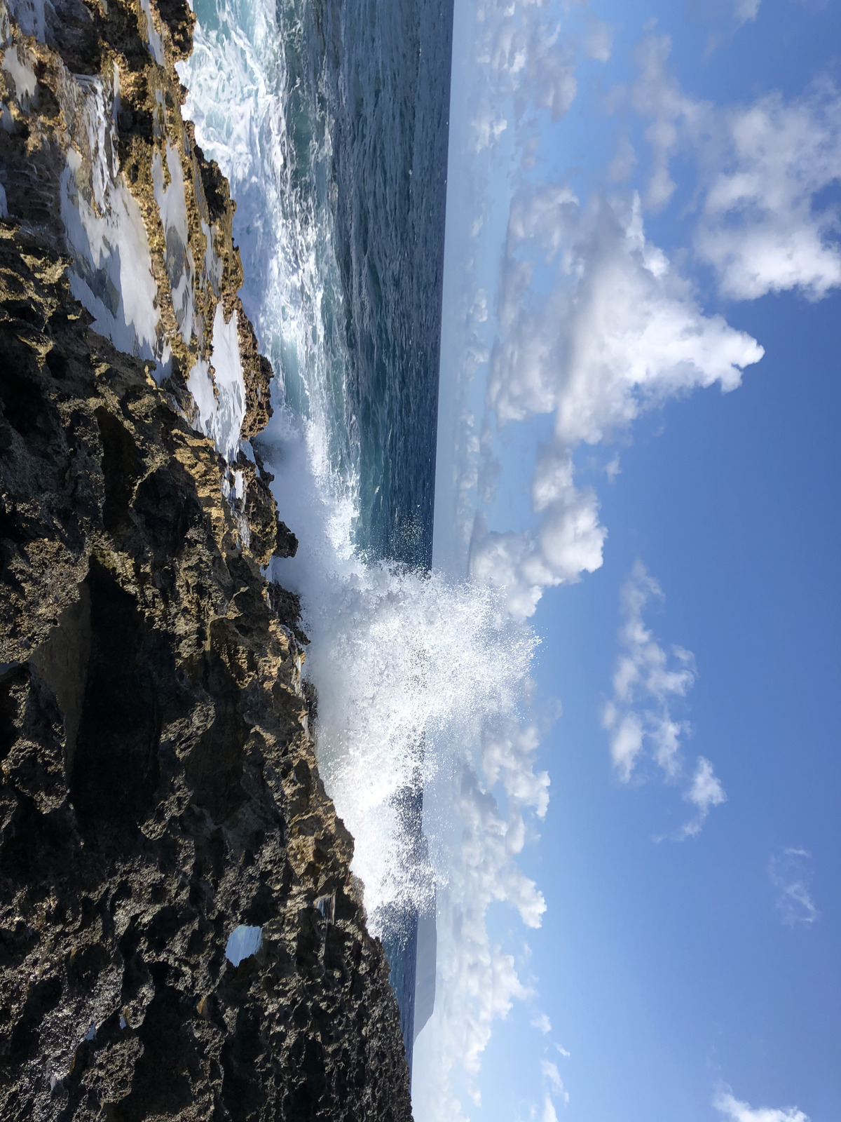 照片 瓜德罗普(Guadeloupe) 城堡角(Castle Point) 2021-02 238