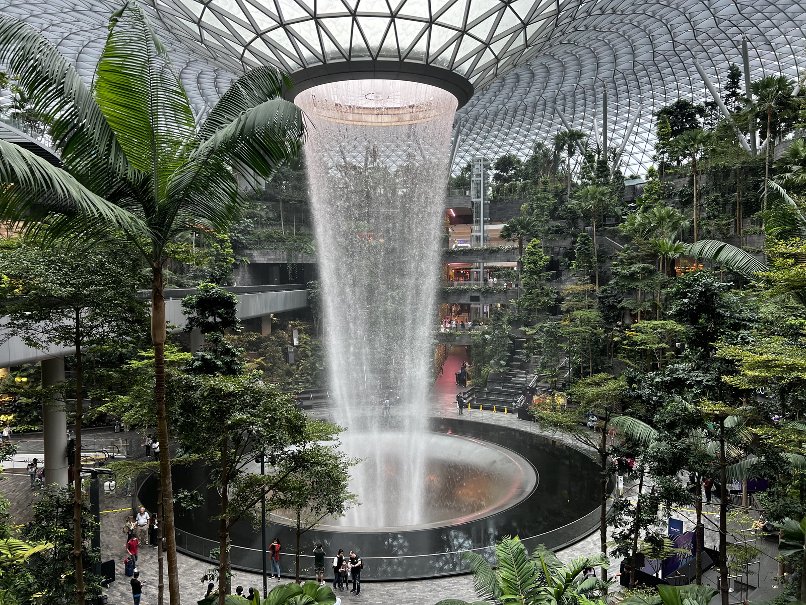 照片 新加坡(Singapore) 新加坡樟宜机场(Singapore Changi Airport) 2023-01 45