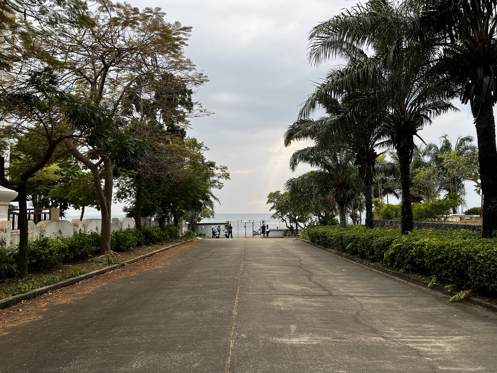 照片 泰国(Thailand) 芭提雅(Pattaya) 2023-01 57