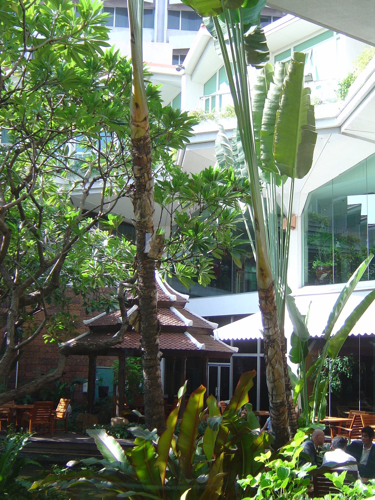 照片 泰国(Thailand) 曼谷(Bangkok) 都喜天阙酒店(Dusit Tani Hotel) 2005-12 25