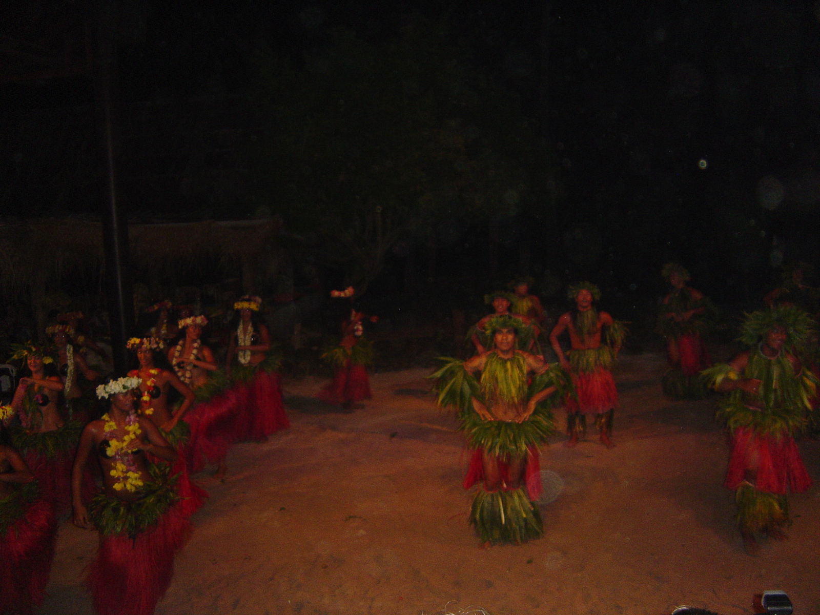 照片 波利尼西亚(Polynesia) 莫雷阿岛(Moorea) 2006-04 59