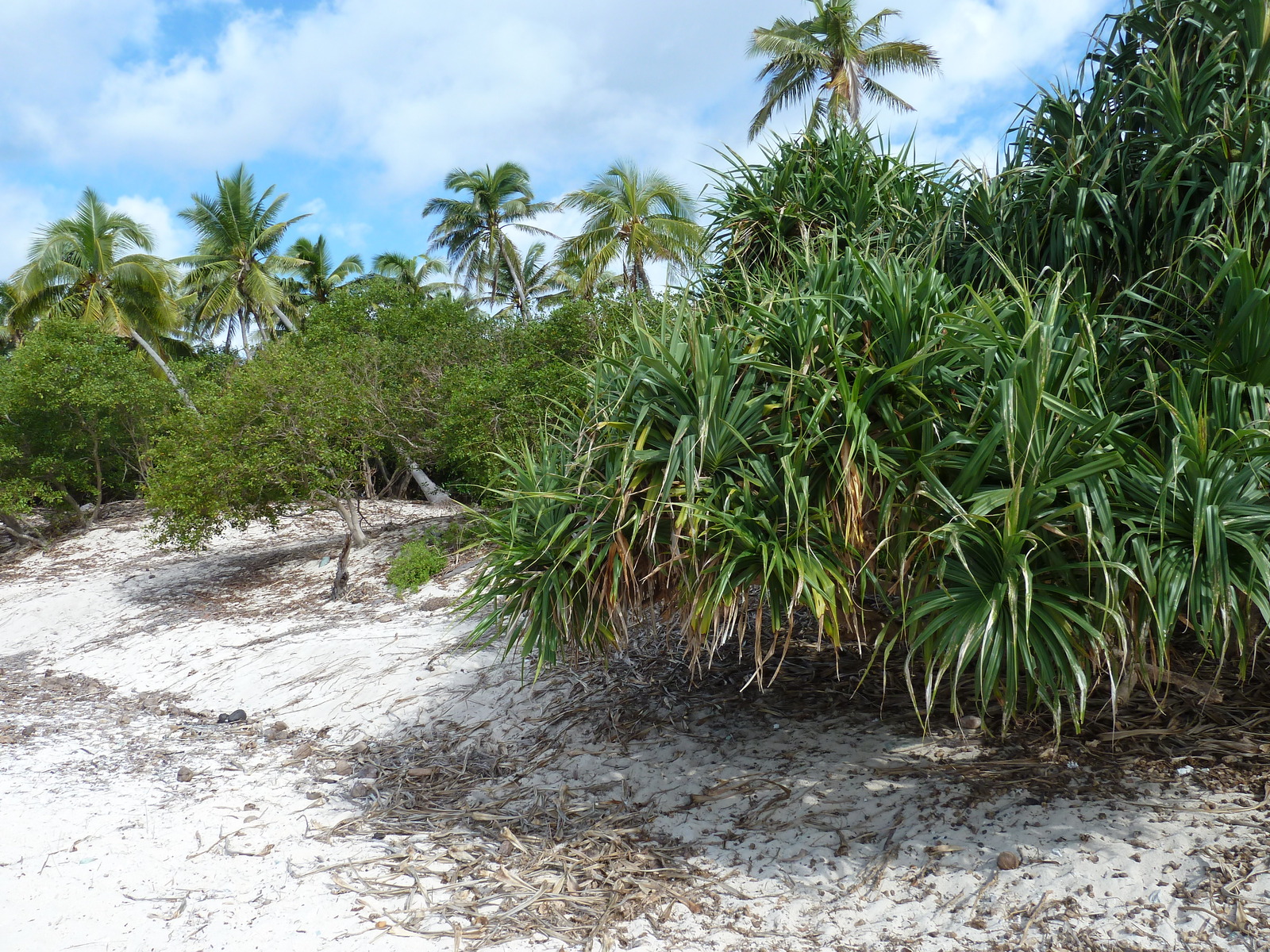 照片 斐济(Fiji) 漂流者岛(Castaway Island) 2010-05 128