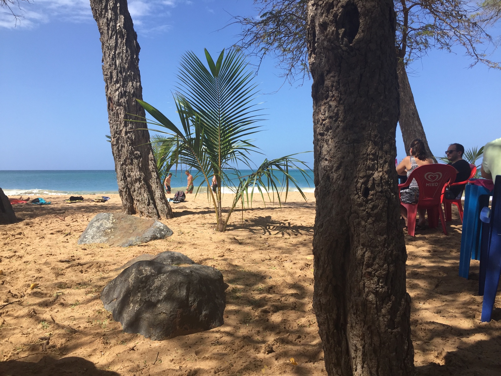 照片 瓜德罗普(Guadeloupe) 珍珠海滩(La Perle Beach) 2021-02 120