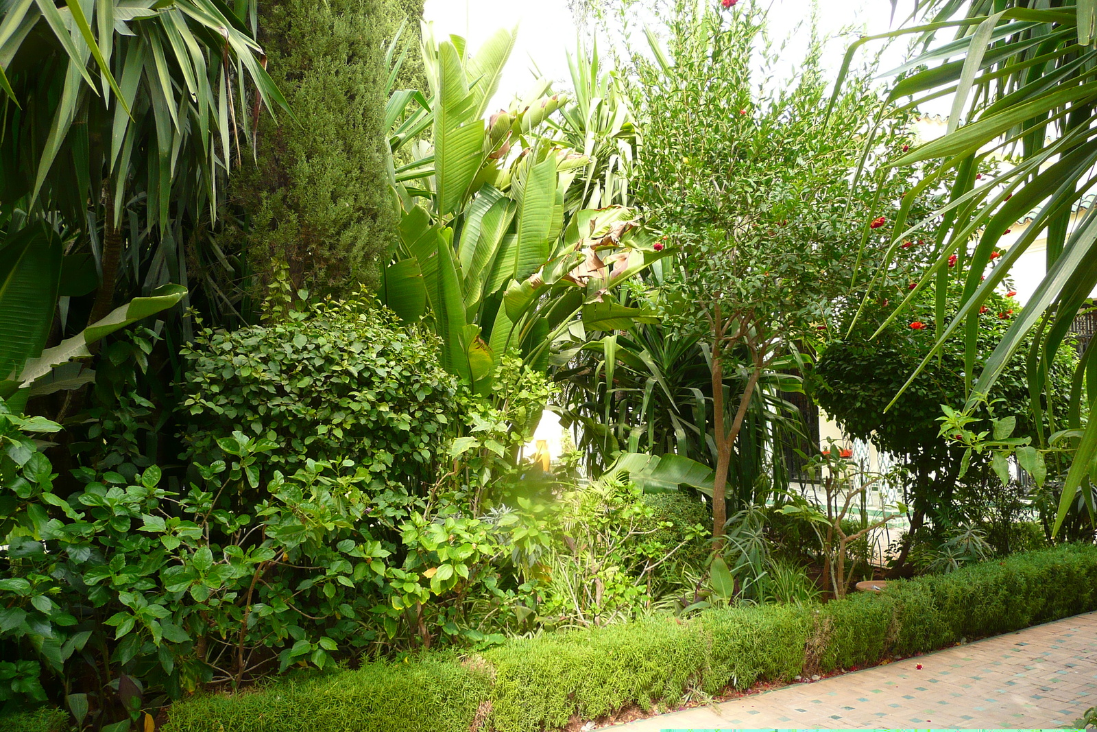 照片 摩洛哥(Morocco) 非斯(Fes) 贾迈宫酒店(Palais Jamai Hotel) 2008-07 42