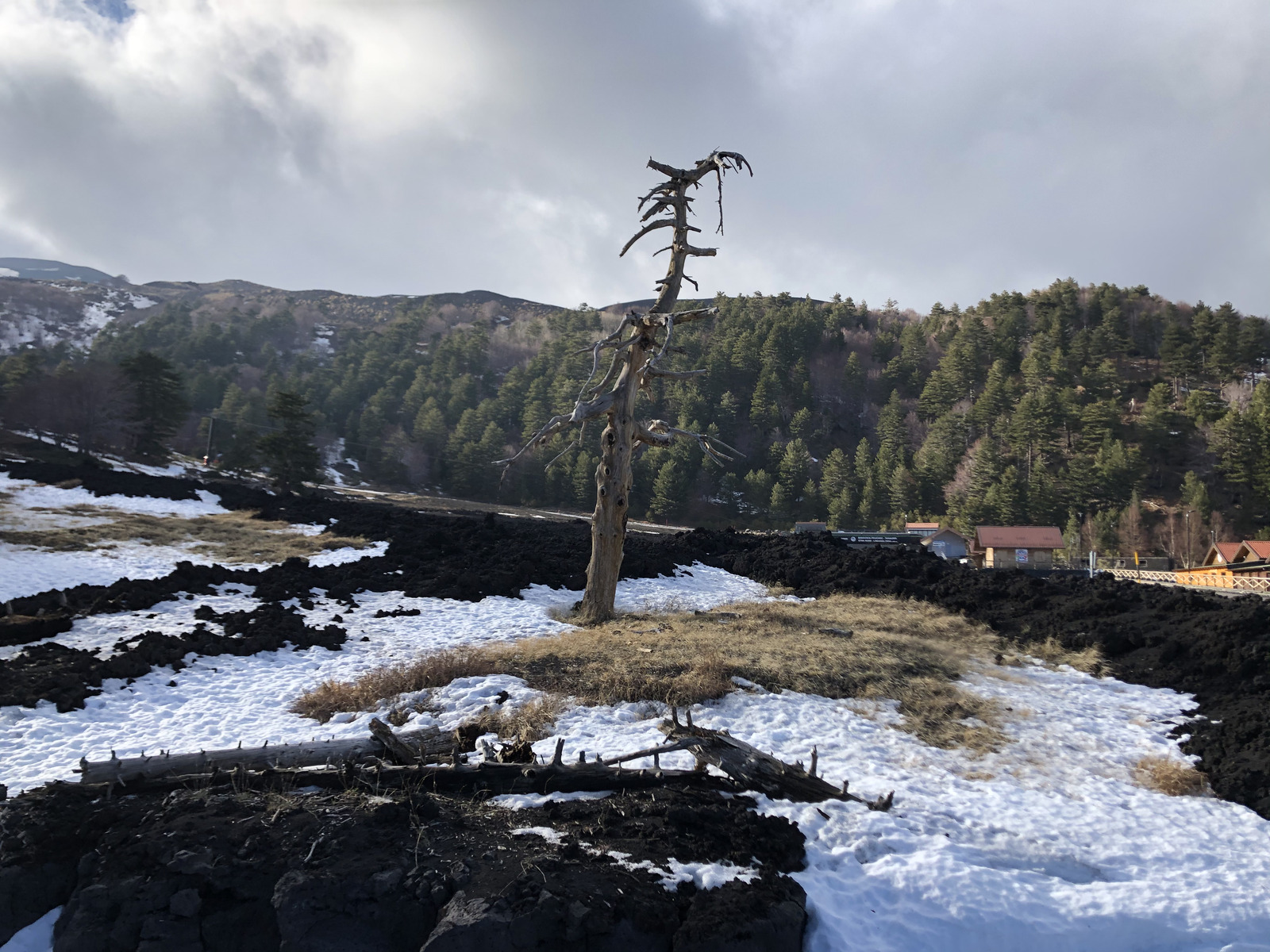 照片 意大利(Italy) 西西里岛(Sicily) 埃特纳火山(Etna) 2020-02 42
