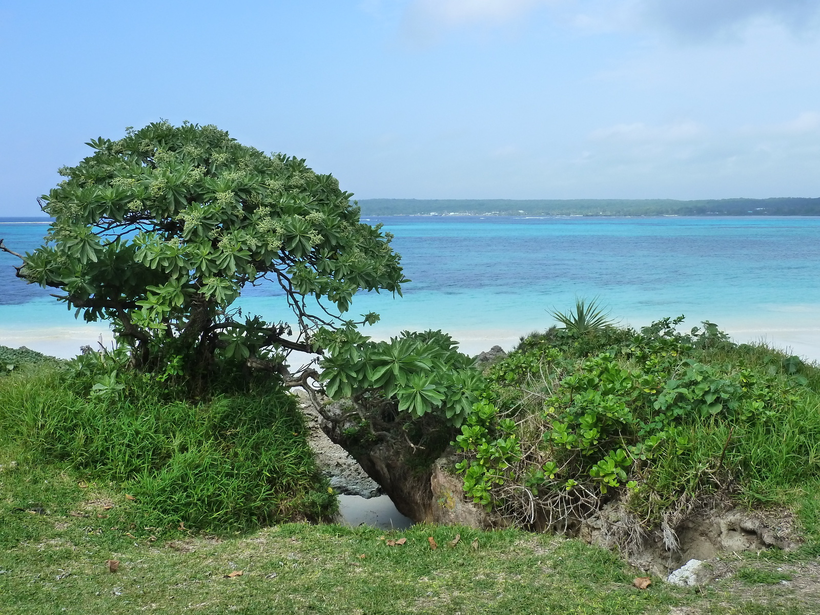 照片 新喀里多尼亚(New Caledonia) 利富岛(Lifou) 卢埃西拉(Luecilla) 2010-05 50
