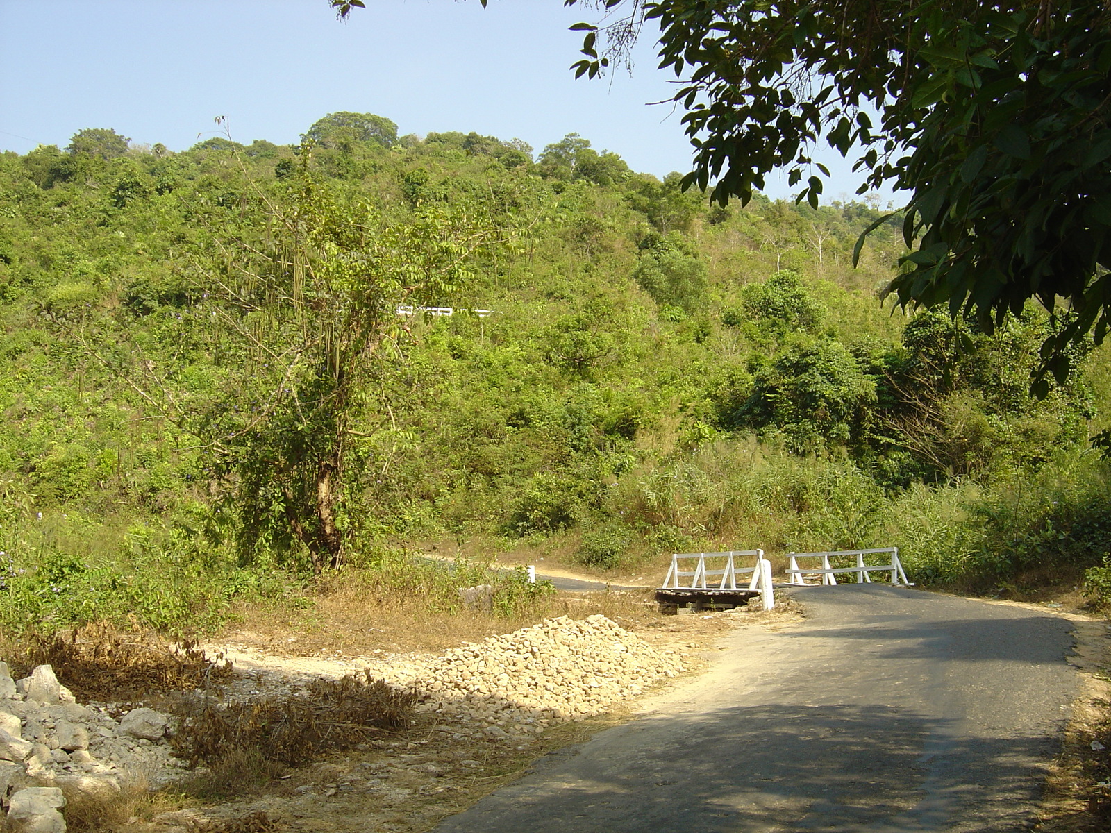 照片 缅甸(Myanmar) 土瓦至茂马干海滩公路(Road from Dawei to Maungmagan beach) 2005-01 66