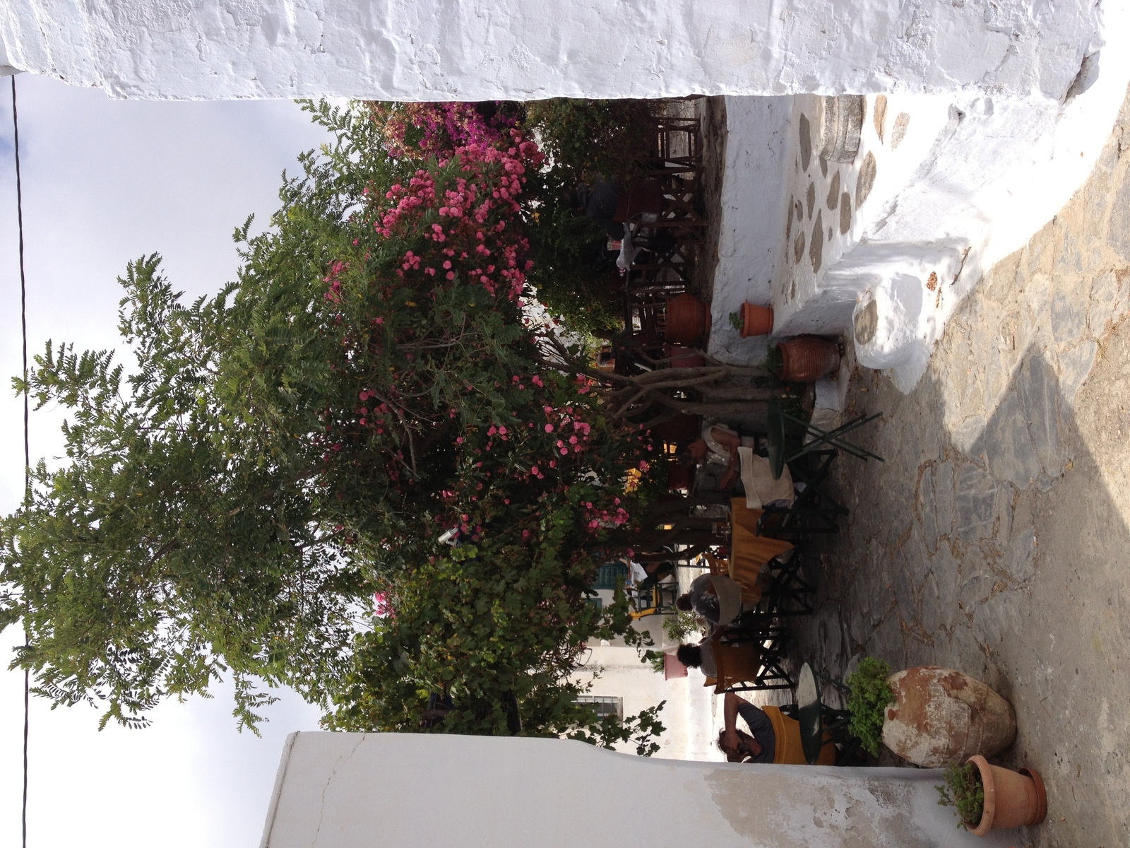 照片 希腊(Greece) 阿莫尔戈斯岛(Amorgos) 2014-07 315