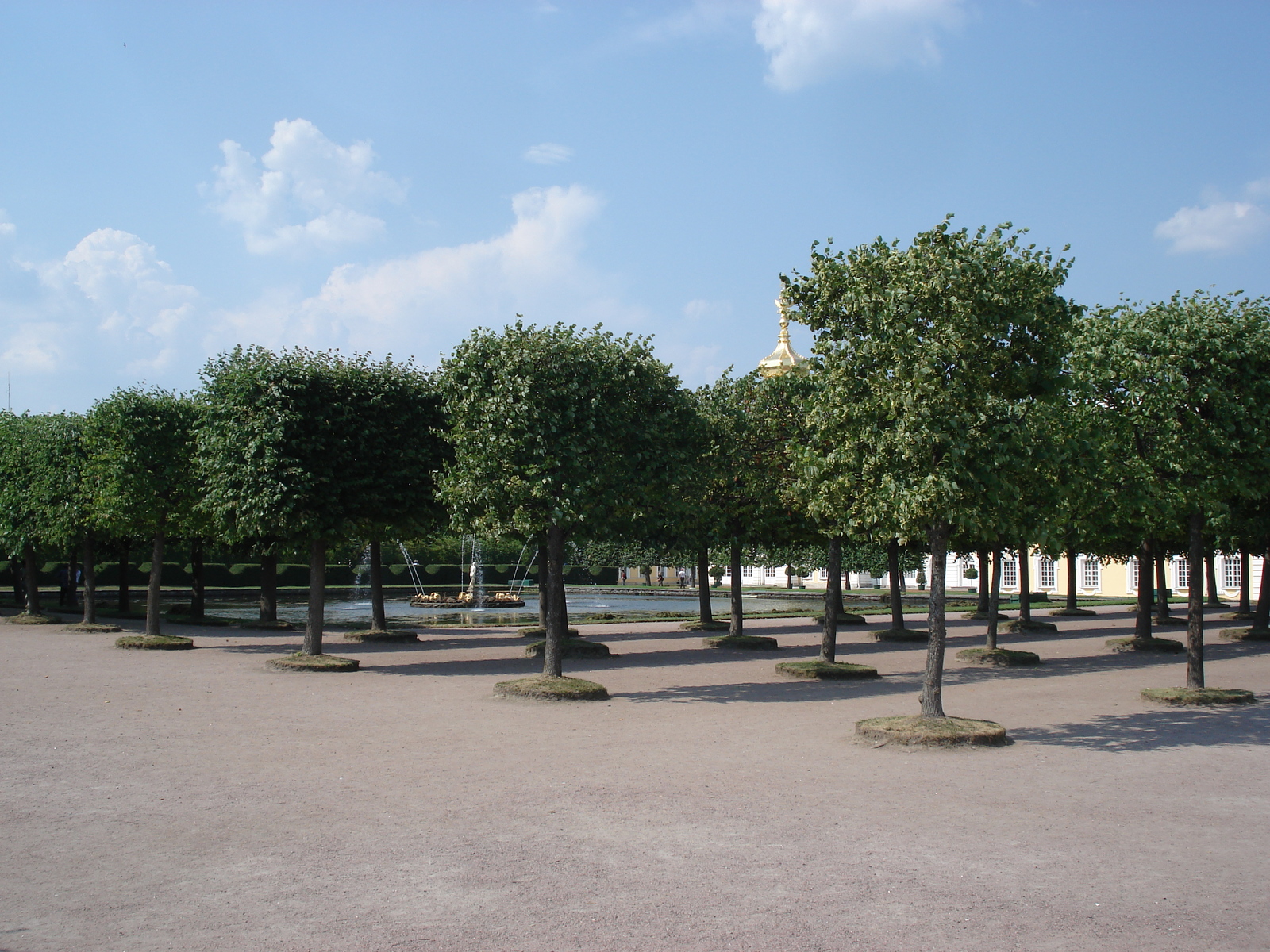 照片 俄罗斯(Russia) 彼得宫(Petrodvorets) 2006-07 82