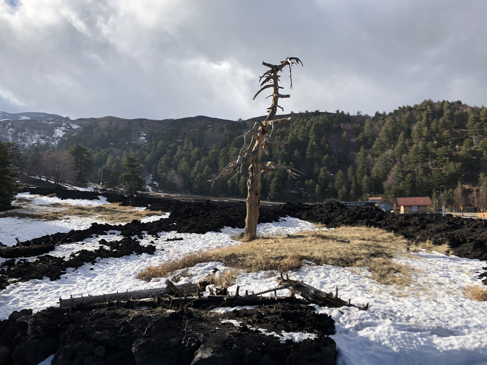 照片 意大利(Italy) 西西里岛(Sicily) 埃特纳火山(Etna) 2020-02 32