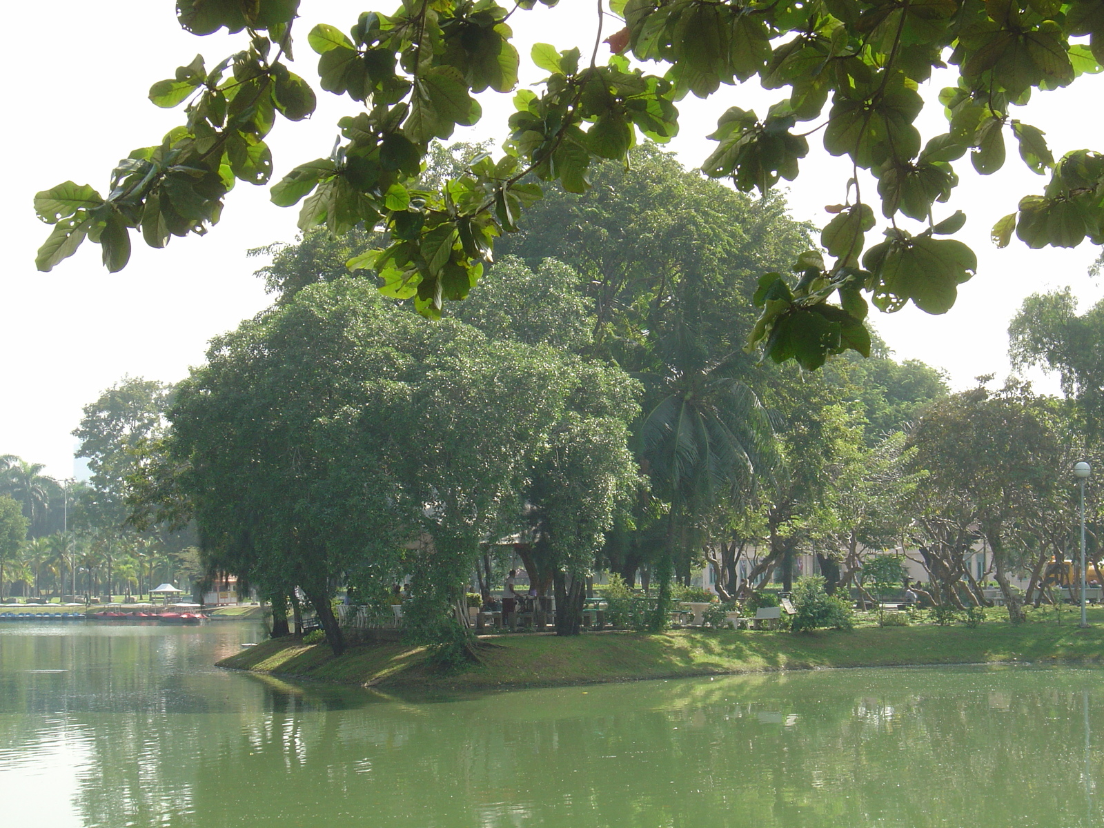 照片 泰国(Thailand) 曼谷(Bangkok) 伦披尼公园(Lumpini Park) 2005-12 23