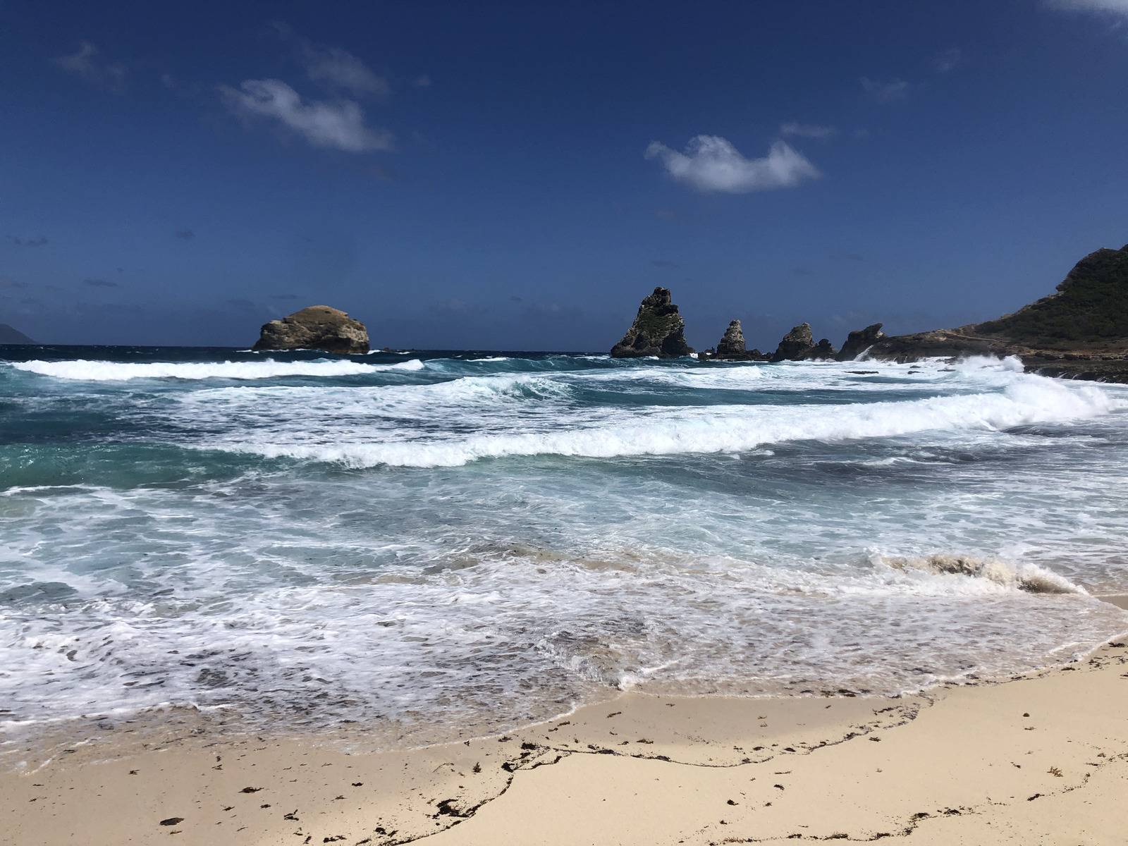 照片 瓜德罗普(Guadeloupe) 城堡角(Castle Point) 2021-02 252