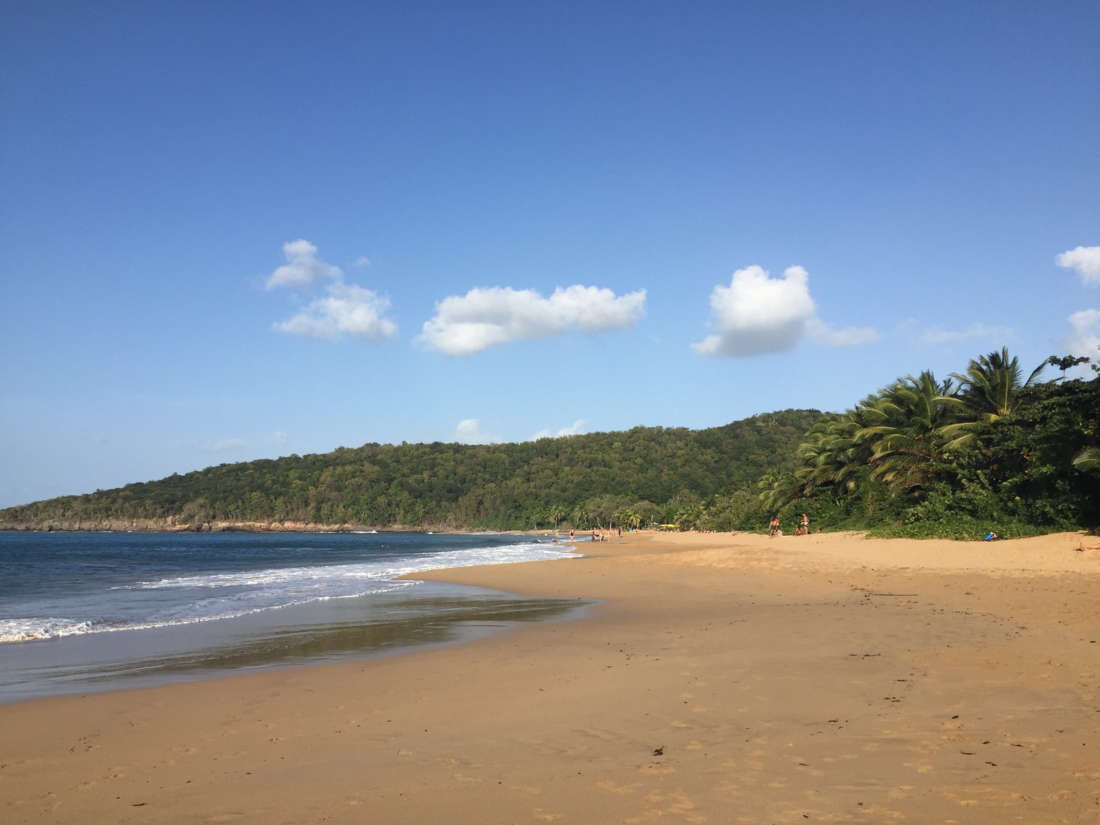 照片 瓜德罗普(Guadeloupe) 珍珠海滩(La Perle Beach) 2021-02 26