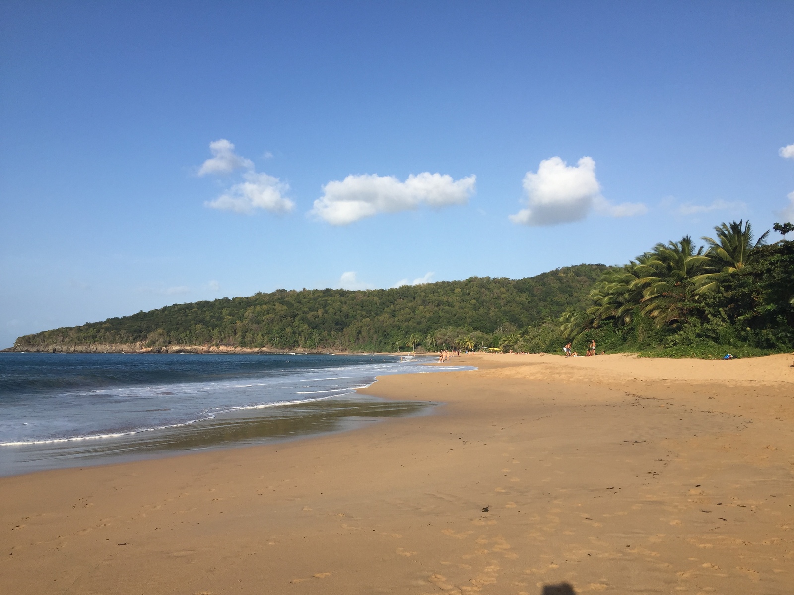 照片 瓜德罗普(Guadeloupe) 珍珠海滩(La Perle Beach) 2021-02 22