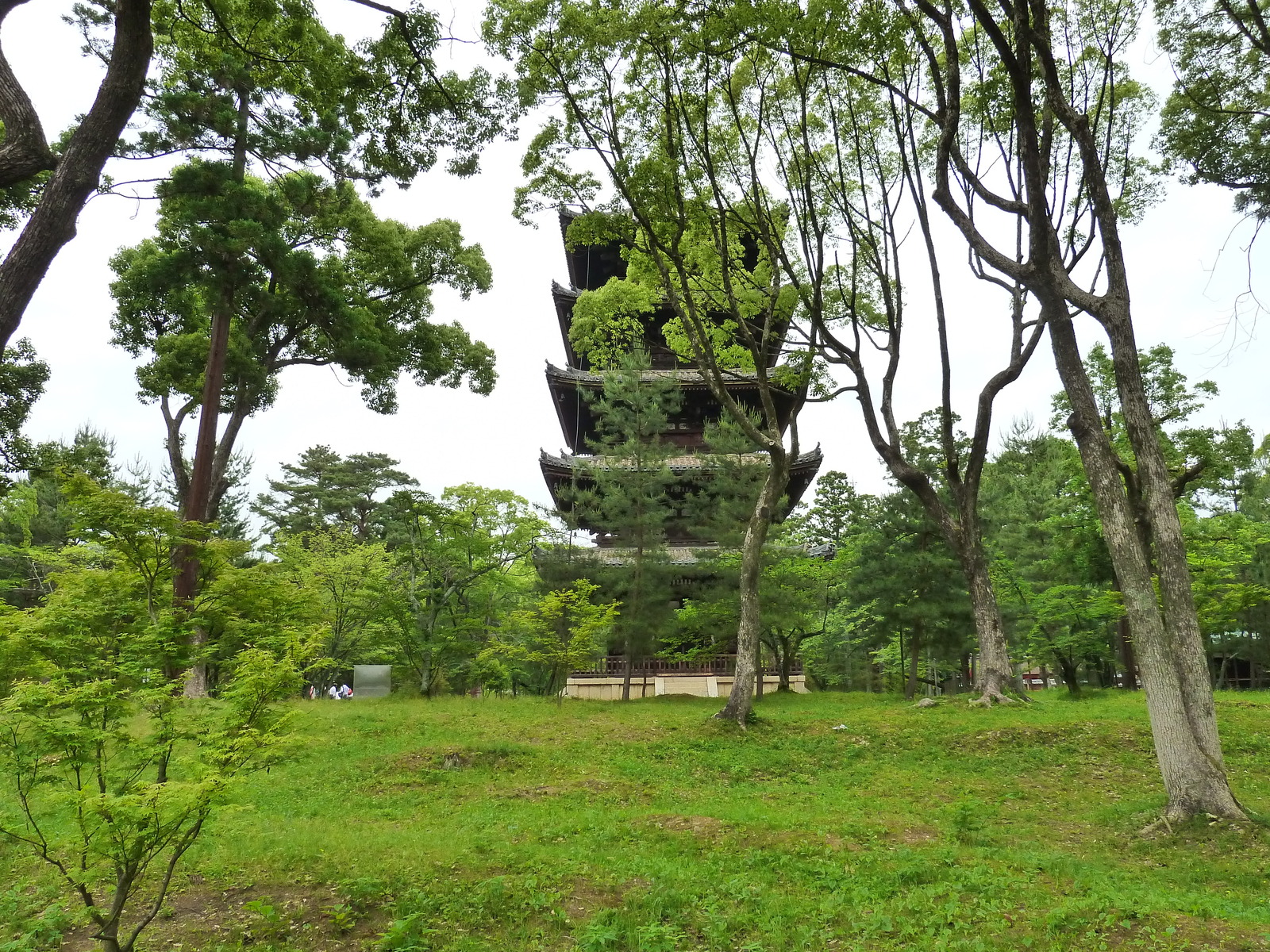 照片 日本(Japan) 京都(Kyoto) 仁和寺(Ninna ji Temple) 2010-06 17