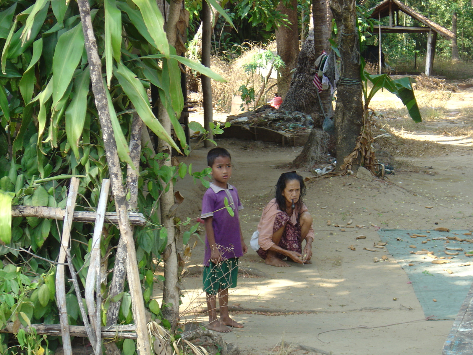 照片 缅甸(Myanmar) 土瓦至茂马干海滩公路(Road from Dawei to Maungmagan beach) 2005-01 58
