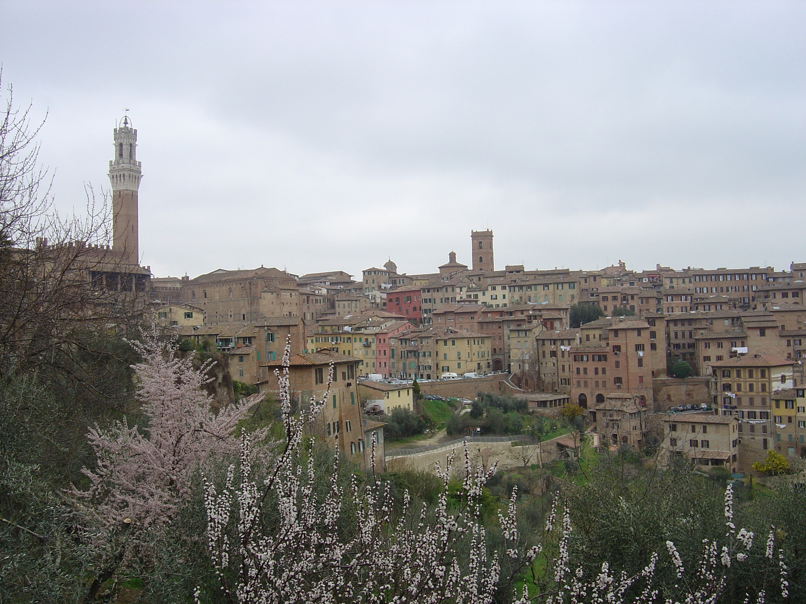 照片 意大利(Italy) 锡耶纳(Siena) 2004-03 37