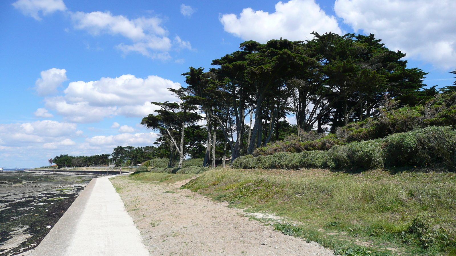 照片 法国(France) 普雷法耶(Prefailles) 圣吉尔达角至拉普雷(La pointe Saint Gildas to La Pree) 2007-08 1