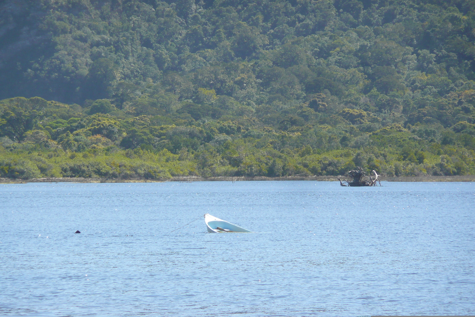 照片 南非(South Africa) 自然谷(Nature's Valley) 2008-09 13