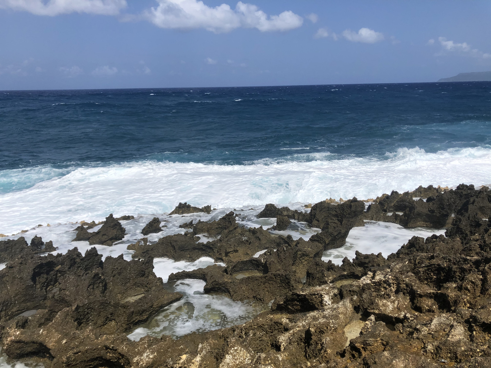 照片 瓜德罗普(Guadeloupe) 城堡角(Castle Point) 2021-02 352