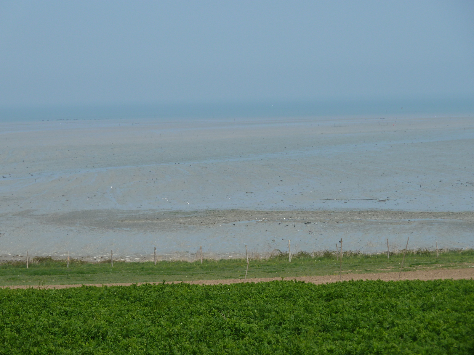 照片 法国(France) 康卡勒(Cancale) 2010-04 39