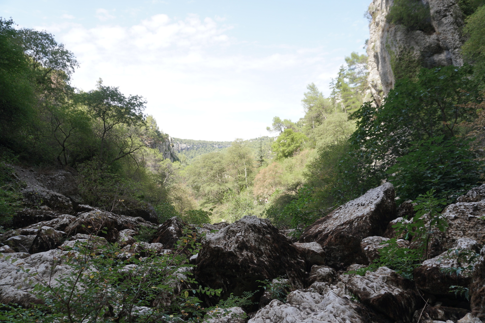 照片 法国(France) 沃克吕兹泉(Fontaine-de-Vaucluse) 2017-08 50