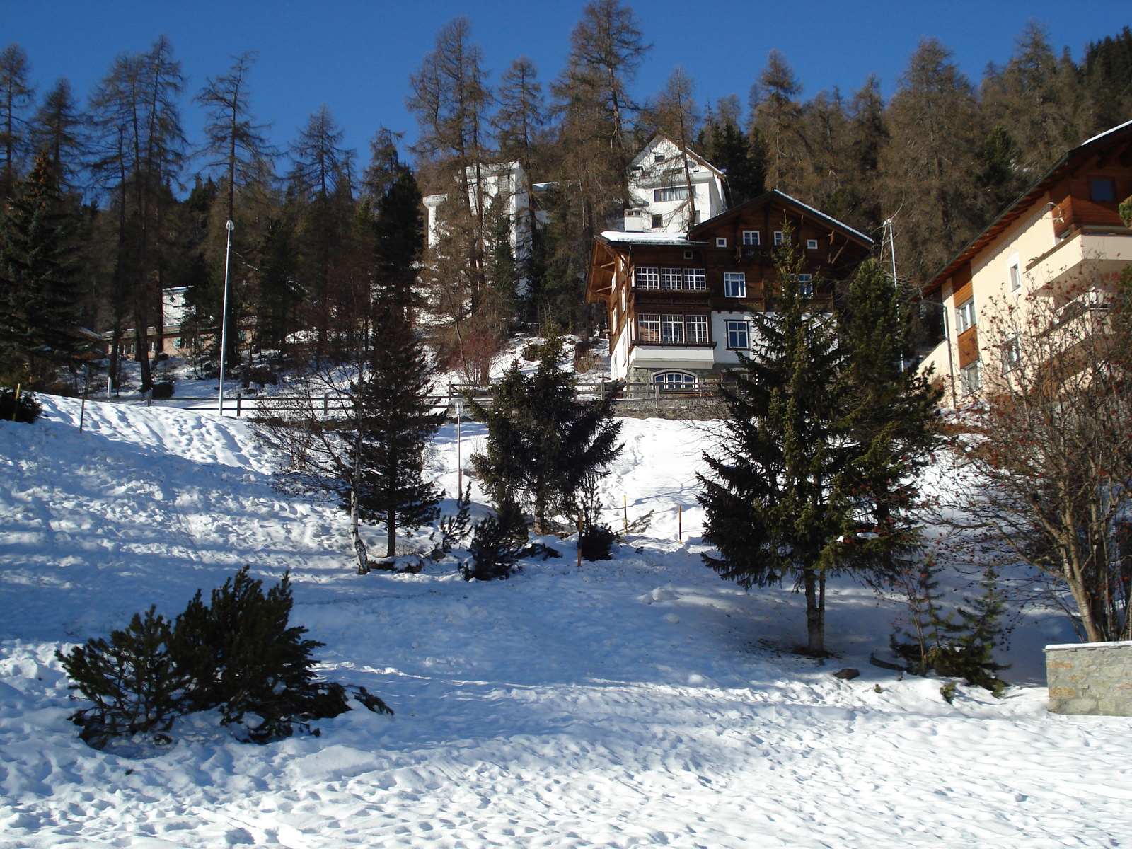 照片 瑞士(Switzerland) 圣莫里茨(St Moritz) 2007-01 185