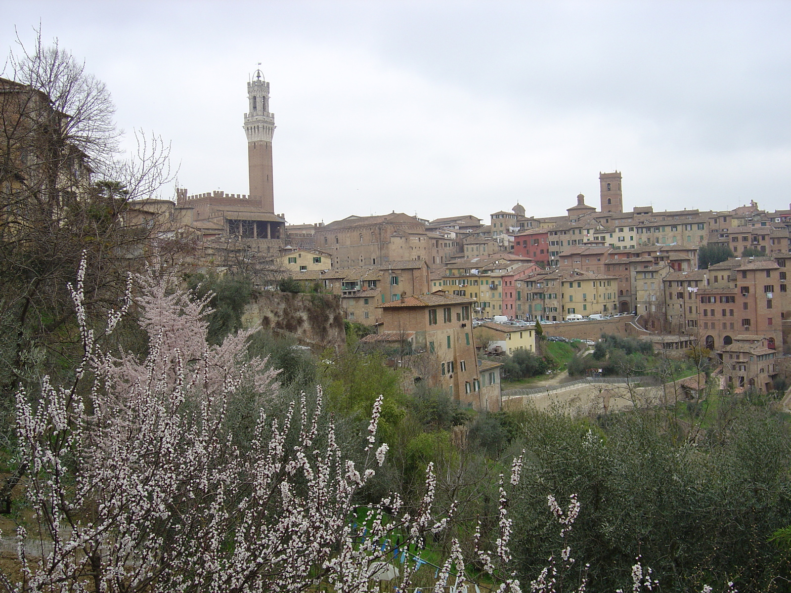 照片 意大利(Italy) 锡耶纳(Siena) 2004-03 43