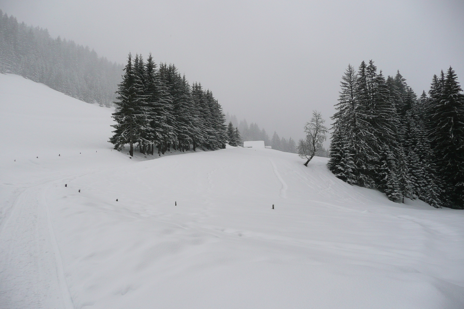 照片 法国(France) 梅杰夫(Megeve) 勒普拉奈(Le Planay) 2010-02 2