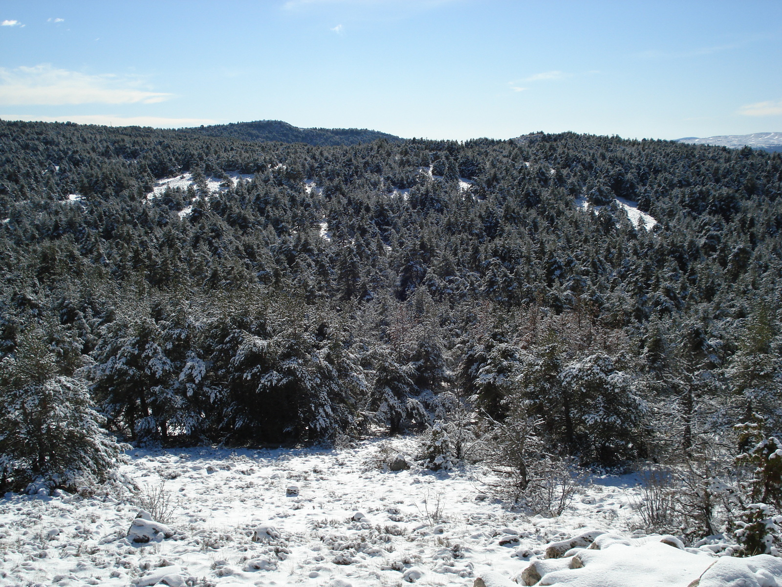 照片 法国(France) 库尔瑟古勒至格雷奥利耶雪场公路(Coursegoule to Greolieres les neiges road) 2007-01 46