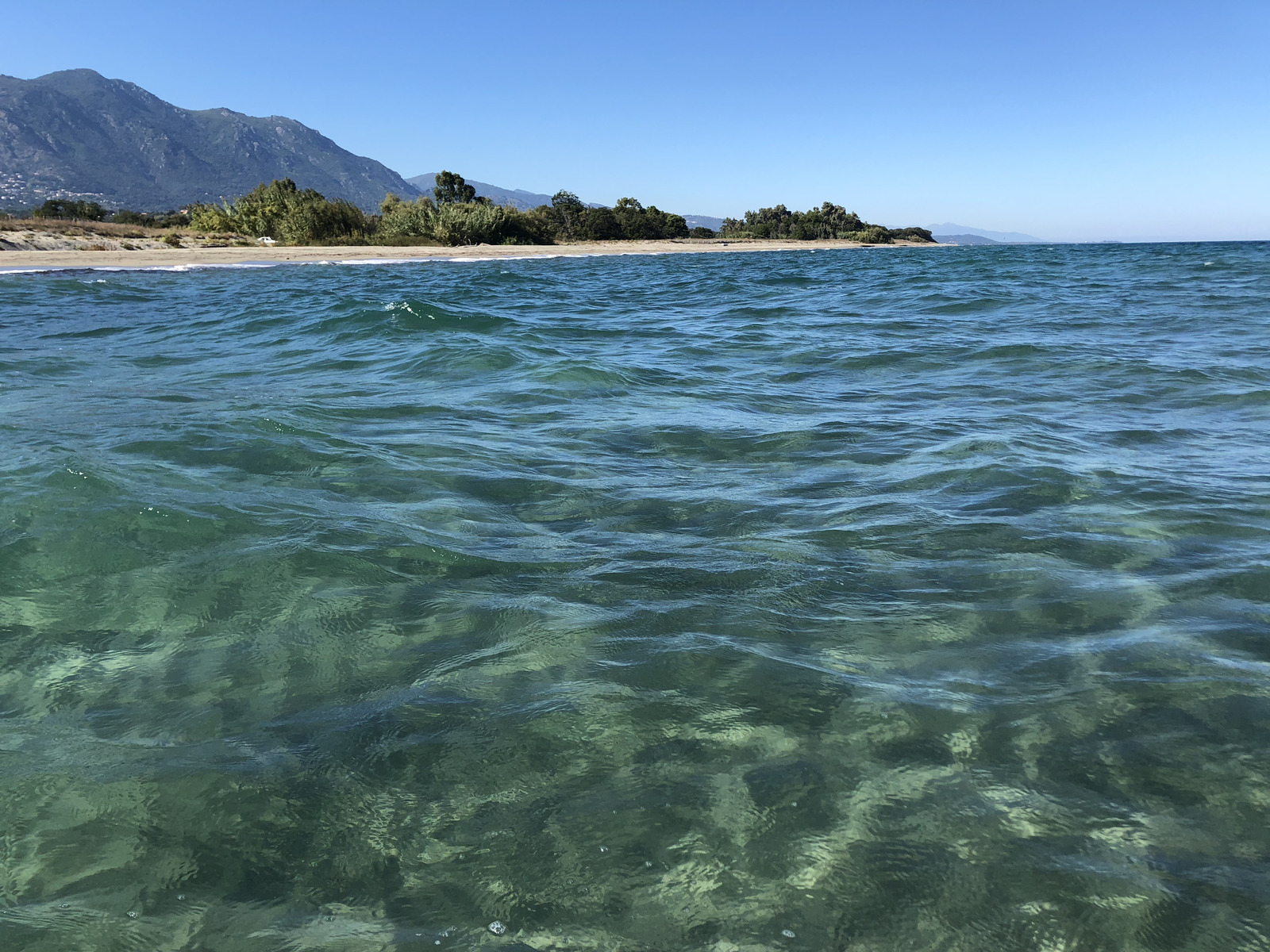 照片 法国(France) 科西嘉岛(Corsica) 圣朱利亚诺(San Giuliano) 2018-09 4