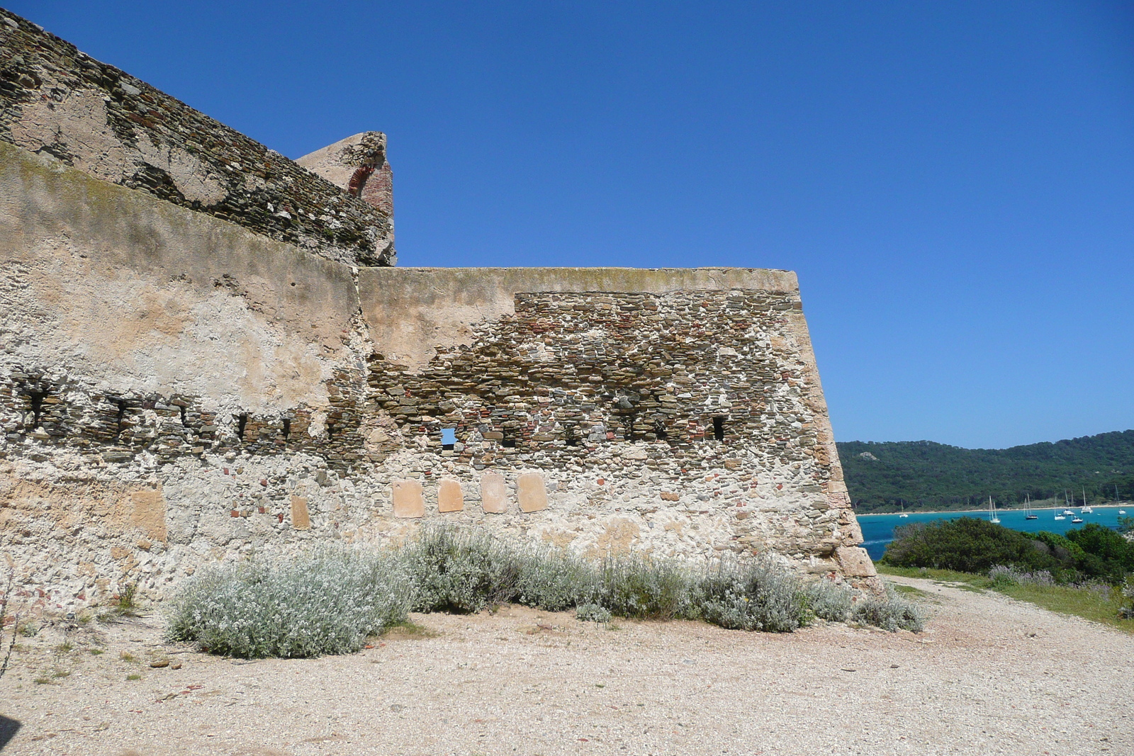 照片 法国(France) 波克罗勒岛(Porquerolles Island) 勒坎角(Pointe du Lequin) 2008-05 39