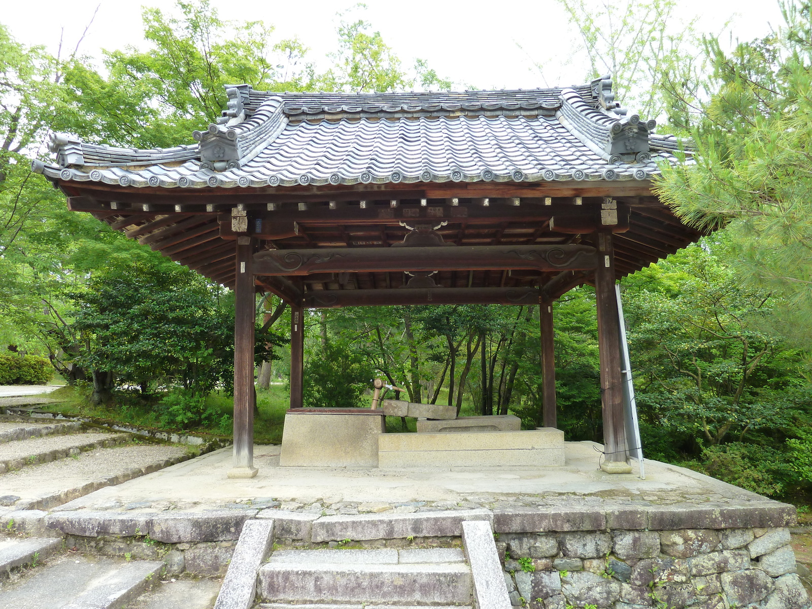 照片 日本(Japan) 京都(Kyoto) 仁和寺(Ninna ji Temple) 2010-06 36