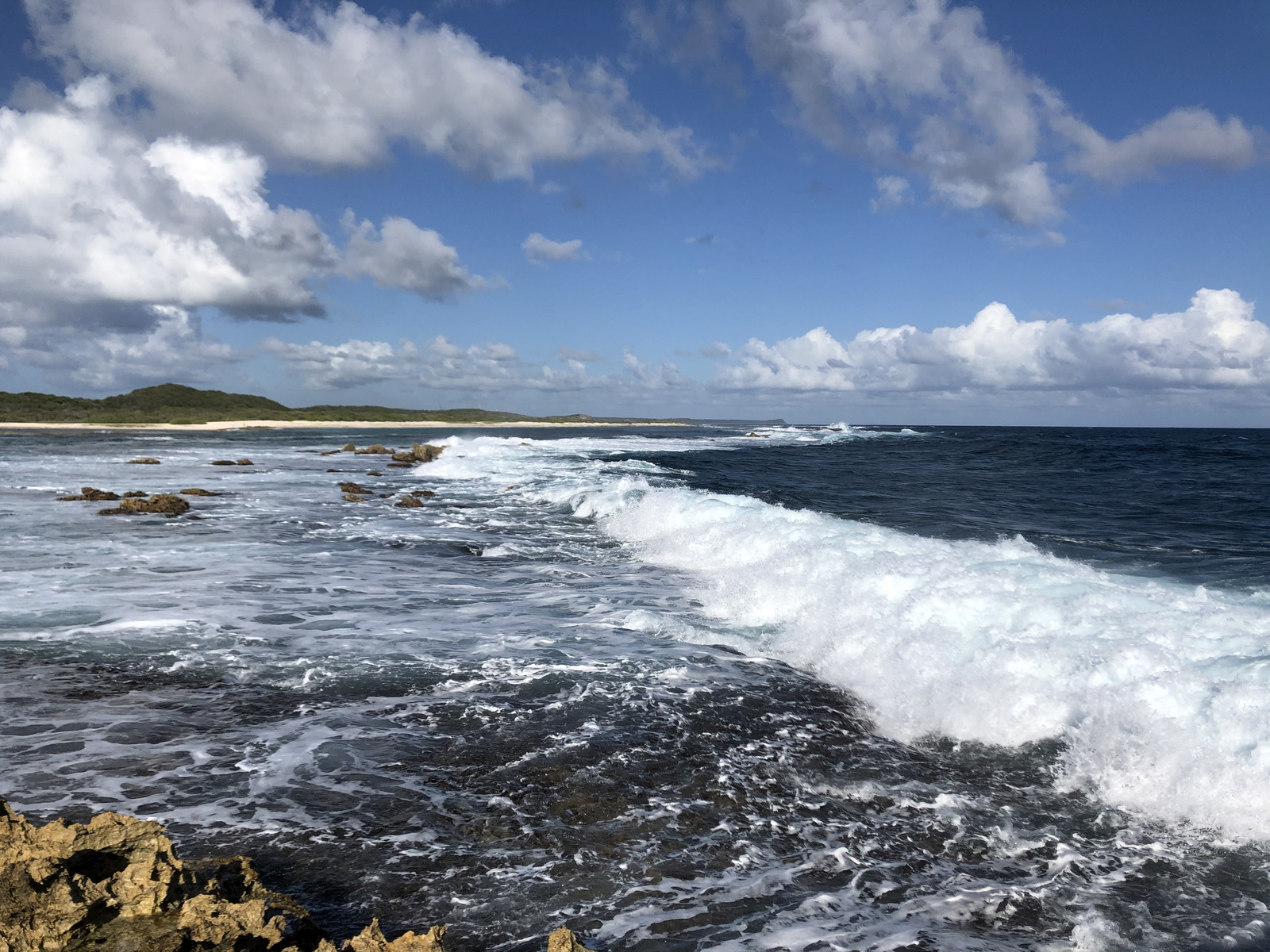 照片 瓜德罗普(Guadeloupe) 城堡角(Castle Point) 2021-02 13
