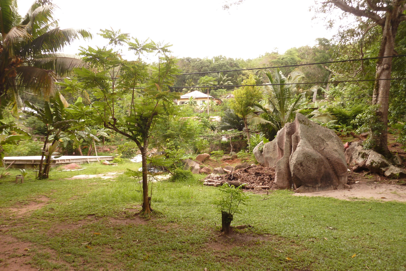 照片 塞舌尔(Seychelles) 拉迪格岛(La Digue) 2011-10 94