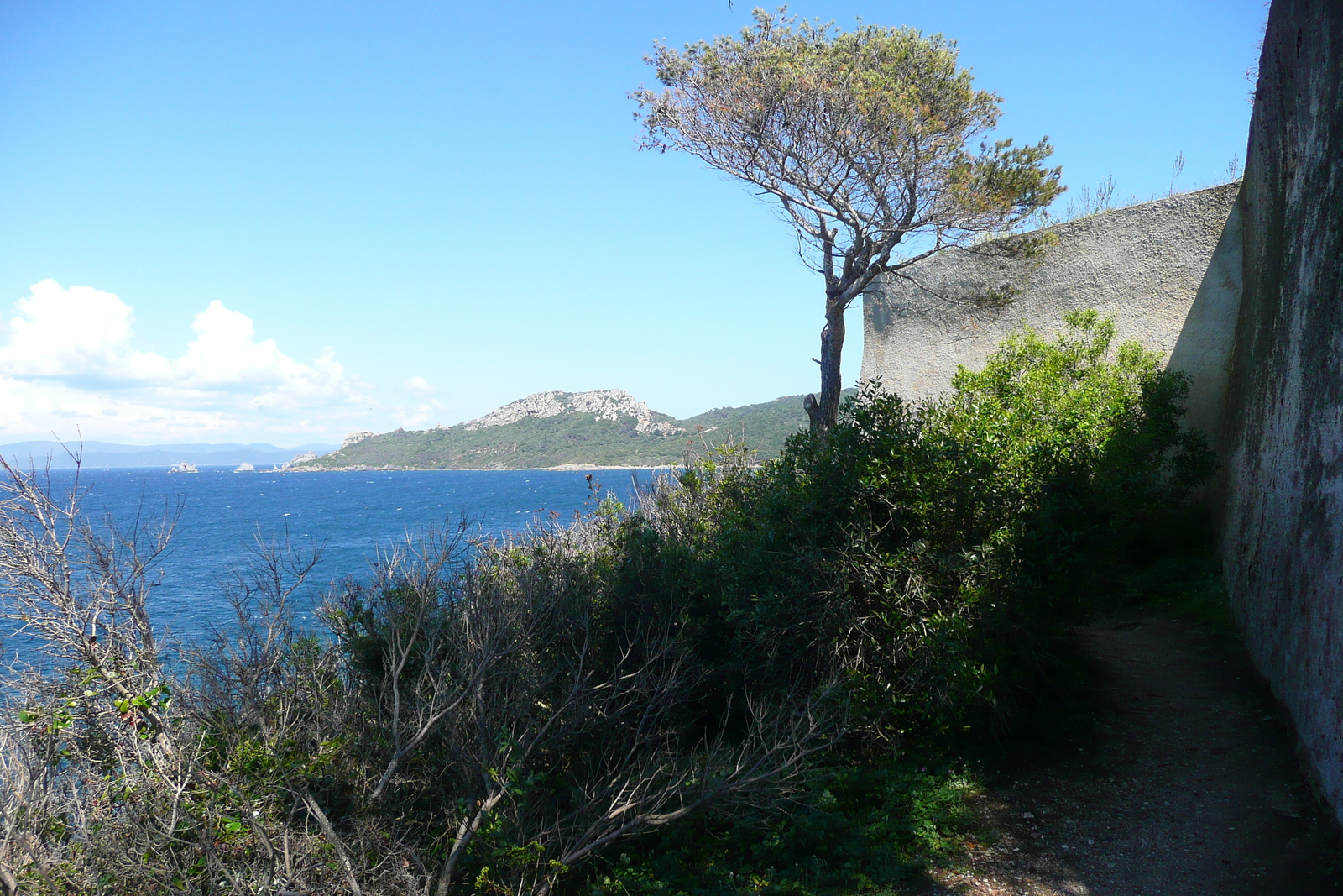 照片 法国(France) 波克罗勒岛(Porquerolles Island) 勒坎角(Pointe du Lequin) 2008-05 60